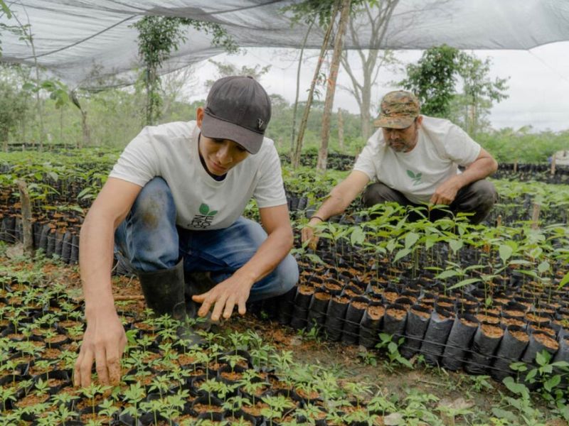 Muratori1717-image-04